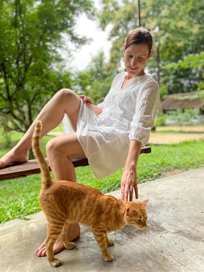 La Maison - Chiangmai 湄登 外观 照片